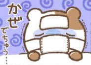POM_Muffin512's tweet photo. ちょっと熱っぽくて今これ↓🐹💦🤧 https://t.co/uwW8zDWPXB