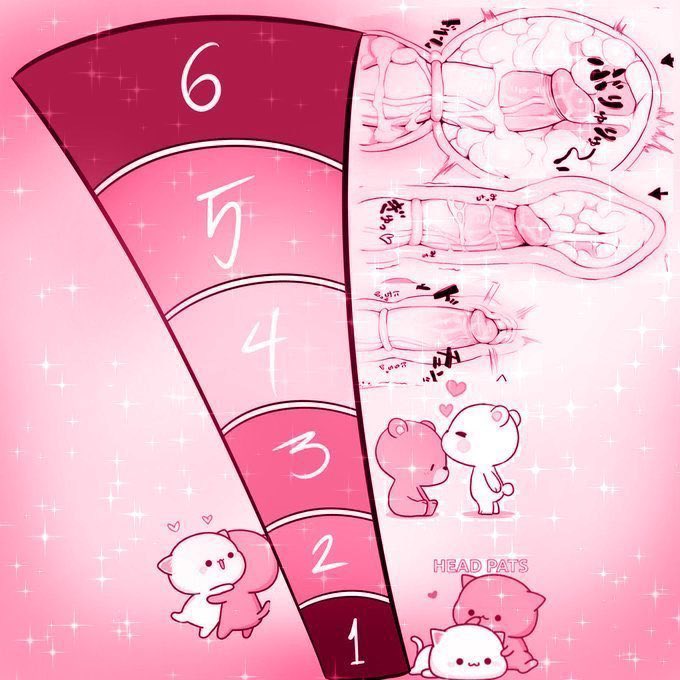 VulpinaHornyKH's tweet photo. 🦊🌸 zorritas tengo que salir el día de hoy, no voy a tardarme mucho por eso es que voy a dejar esto aquí y cuando llegue Quien tenga la calificación más alta, tendrá derecho a que le atore el nudo en el culo, no seré gentil, se los advierto ¿pero eso da igual no? 💋

💕+🔄? 🖼️ https://t.co/fbVstVgjpo
