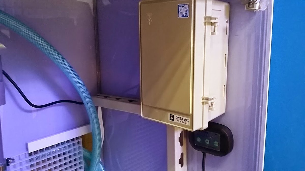 ミニミニ tweet media