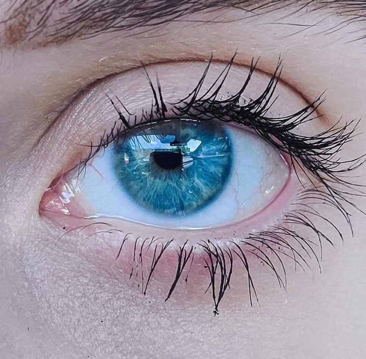 Neural Space tweet media