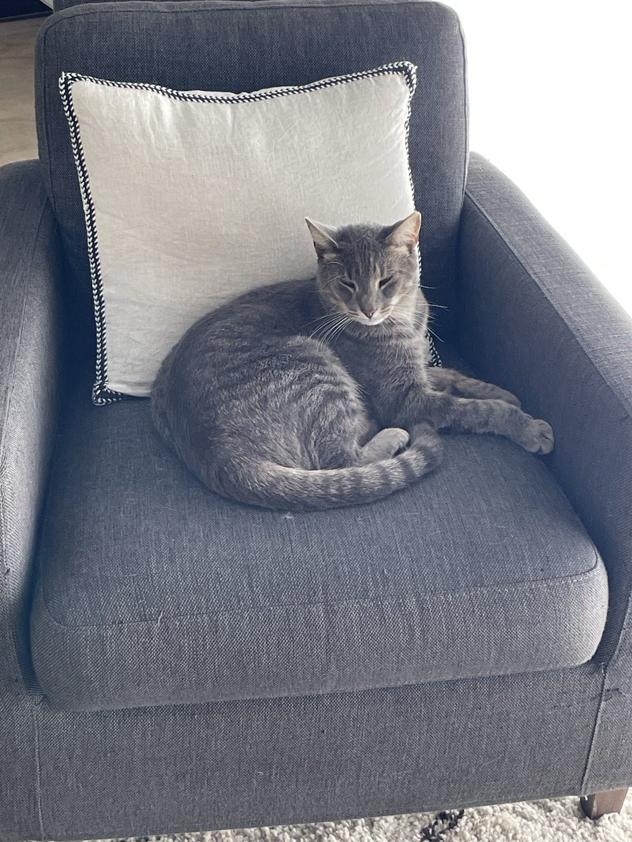 Léo le rigolo tweet media