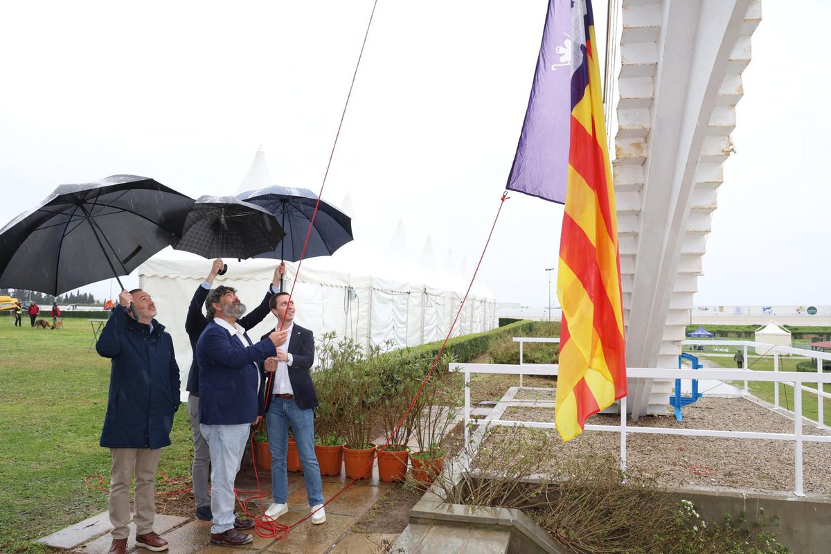 Consell de Mallorca tweet media