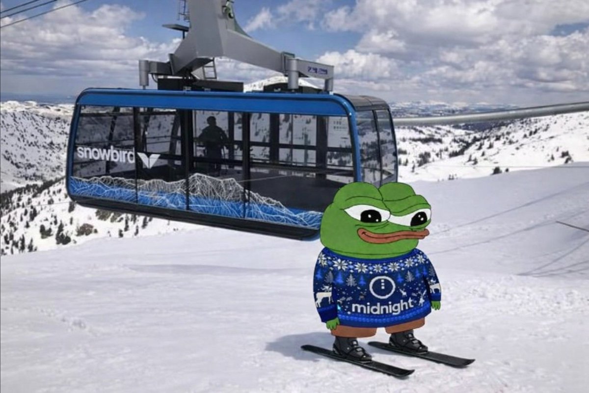 ENJOY THE WEEKEND FRENS 🐸