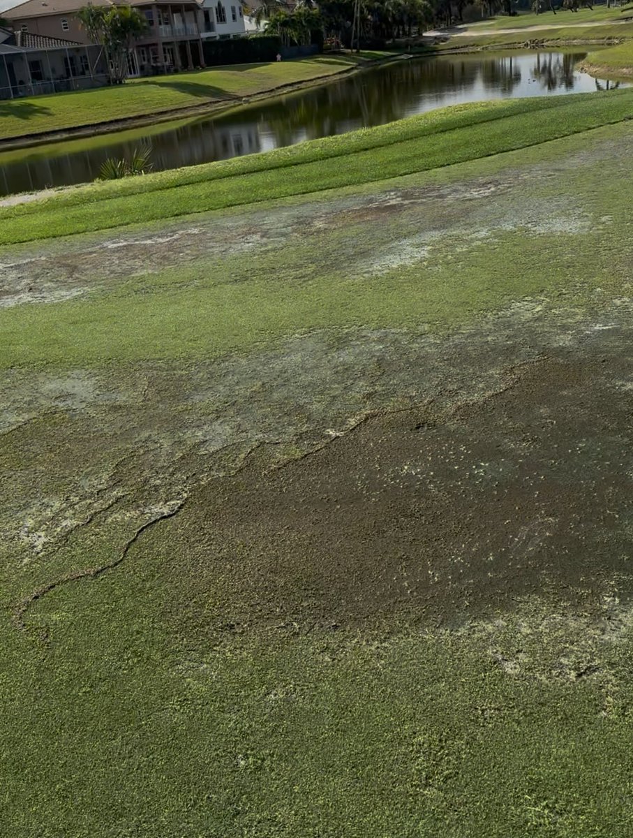 TGL_INCEL tweet media