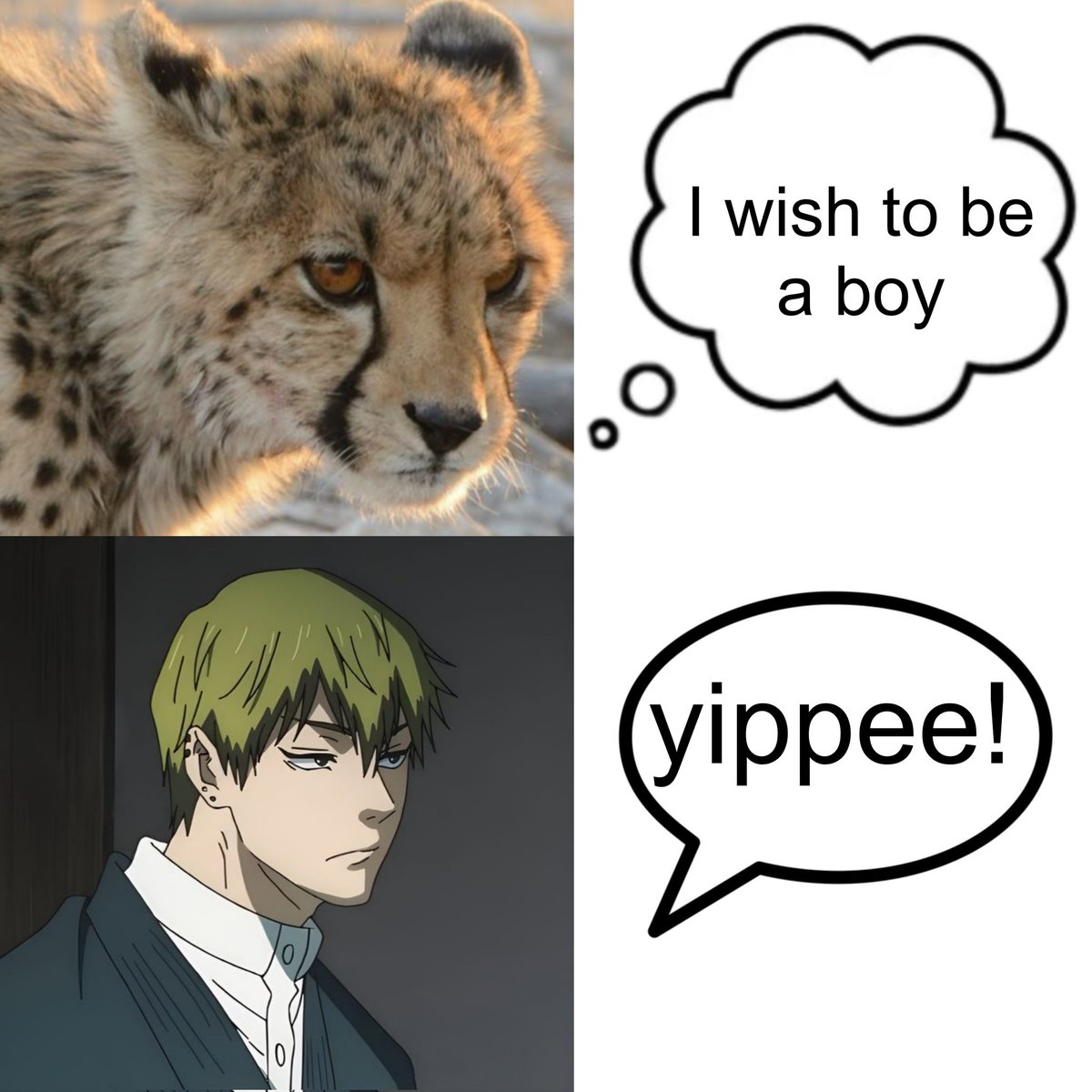 マリア tweet media