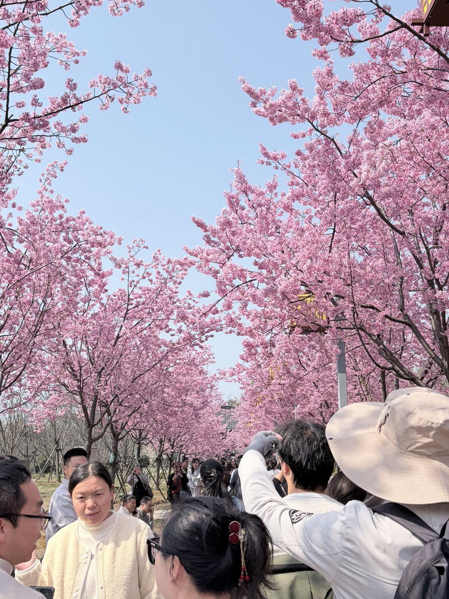 HaydenBi tweet media