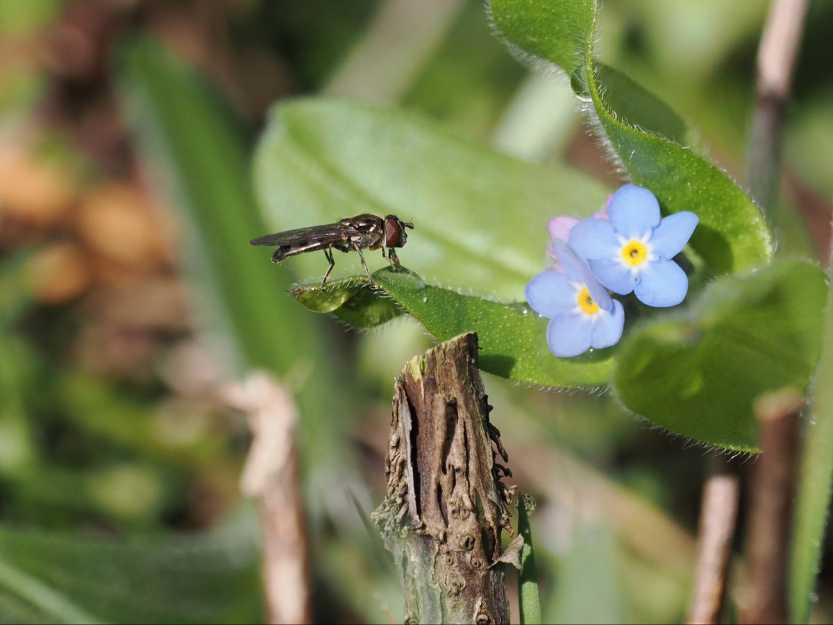 Deena Sharp tweet media