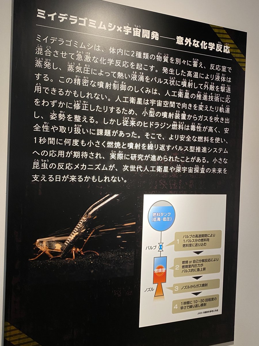 ティーノ tweet media