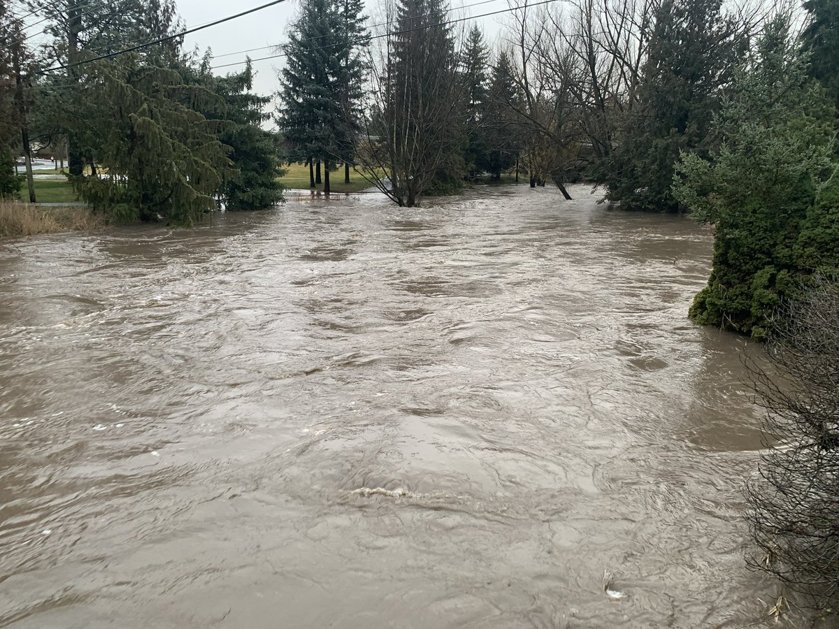 WSU Pullman tweet media