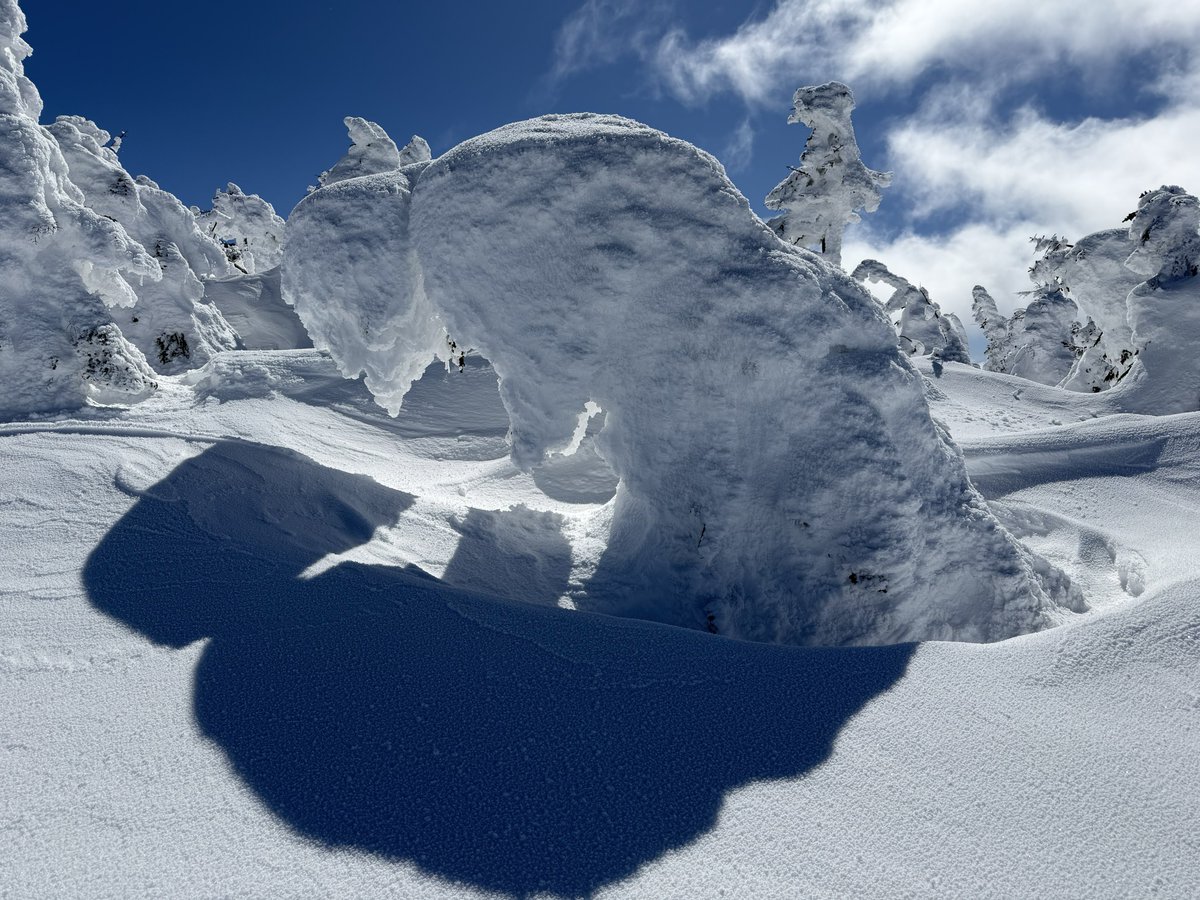 JQ7FGB／いわてMG33 tweet media