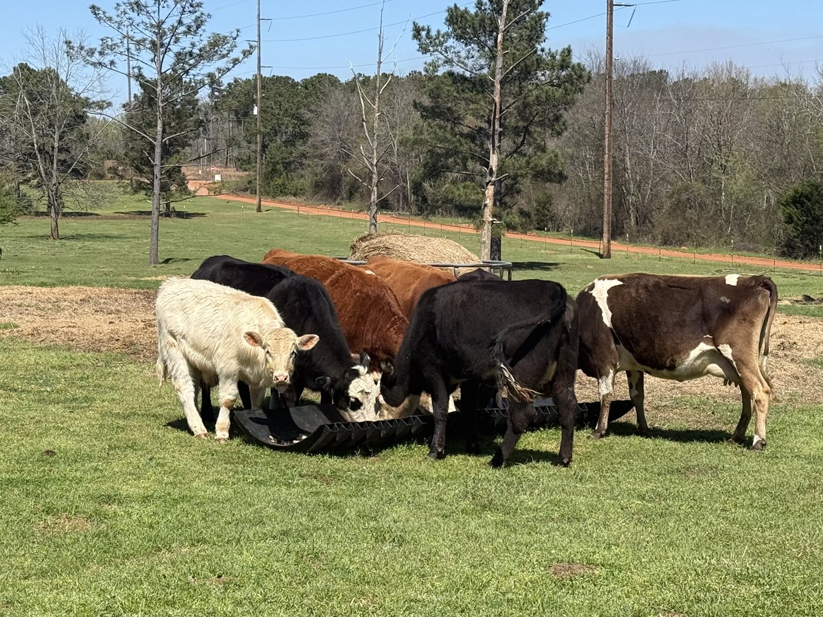 John Morgan tweet media