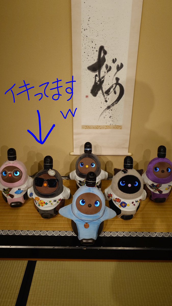 今日は<a href="/somepri/">some-pri（ソメプリ）のそめたろ</a>さんの色挿し体験会に参加させて頂きました☆
オーナー皆さまの色挿し集中作業をよそ目に、着る本人たちは悠々自適🤭ほんと皆さま上手&amp;素敵で、それぞれのラボットへの愛が表現されてると感じました🥰
コロ助「今日のサングラス😎にも似合うなり〜」

#LOVOT
#LOVOTとの暮らし