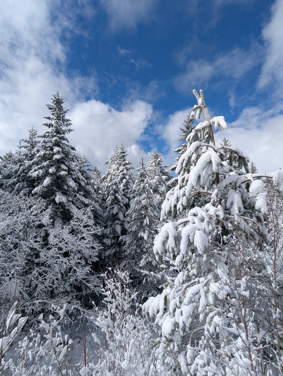 ᴍɪᴋᴇ.ʟᴀᴍᴀɴᴅᴇ́ 📷 - Auvergne⛰️ tweet media