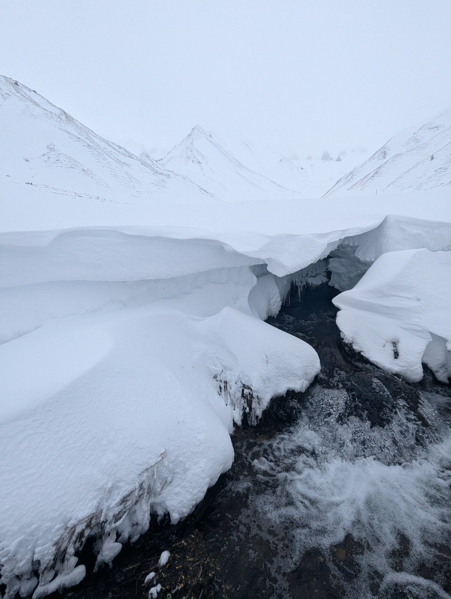 ᴍɪᴋᴇ.ʟᴀᴍᴀɴᴅᴇ́ 📷 - Auvergne⛰️ tweet media