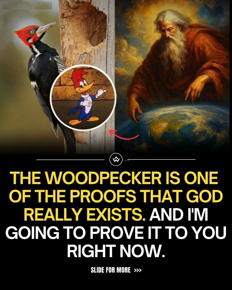 Manifest_Lord tweet media