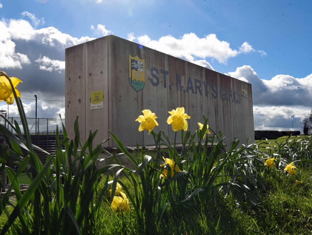 Louth GAA tweet media