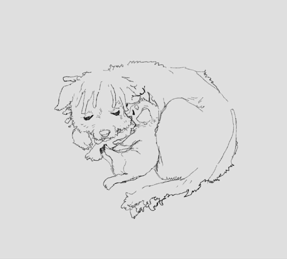 𝖈𝖔𝖓𝖆𝖓 🫀🥩 tweet media