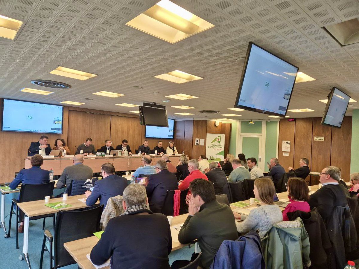 Julien DIVE tweet media