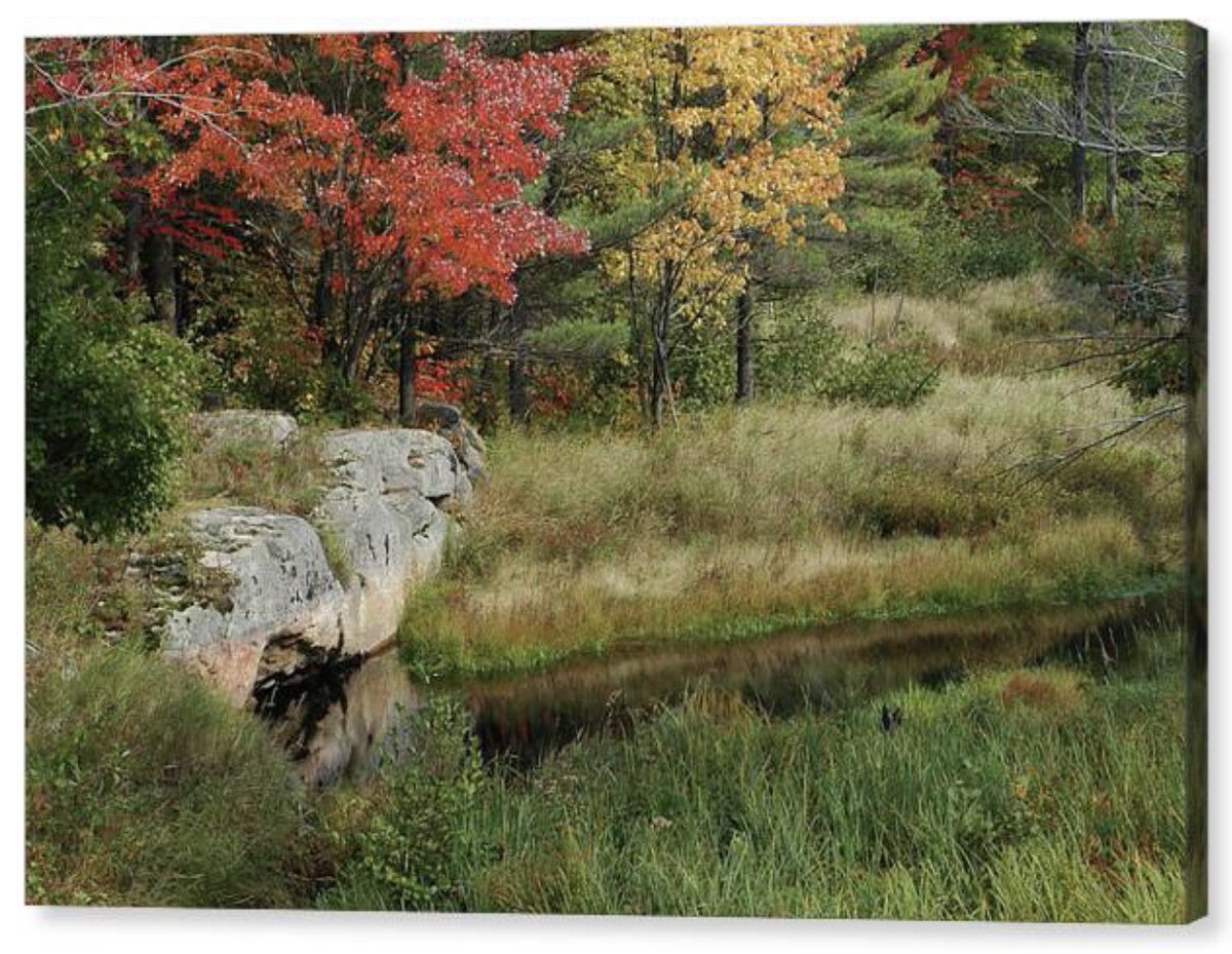 shonna99784's tweet image. Autumn Reflections by The Stream - Canvas Print shonna-hawkins.pixels.com/featured/autum…

#Autumn #Reflections #TheStream #Colours #CanvasPrint  #FineArt #HomeDecor #ShonnaHawkinsPixels