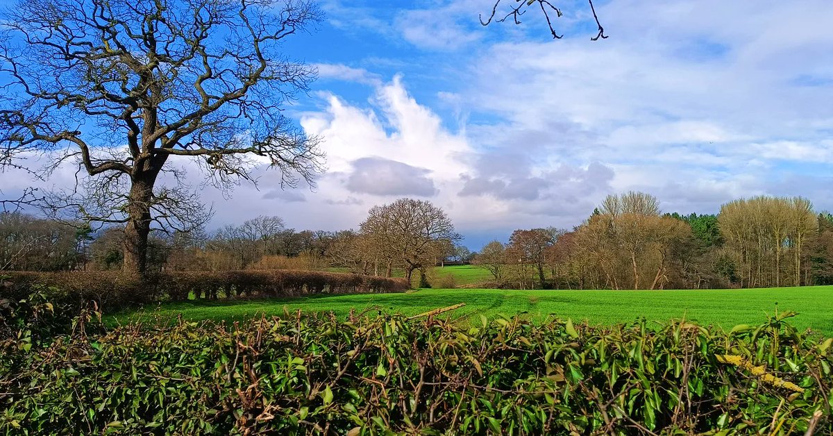 Yashwanth_24's tweet photo. Country side> https://t.co/nUgUHhTVaP