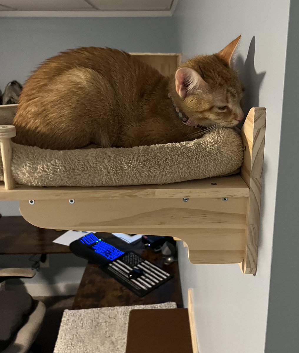 Claude Krause tweet media