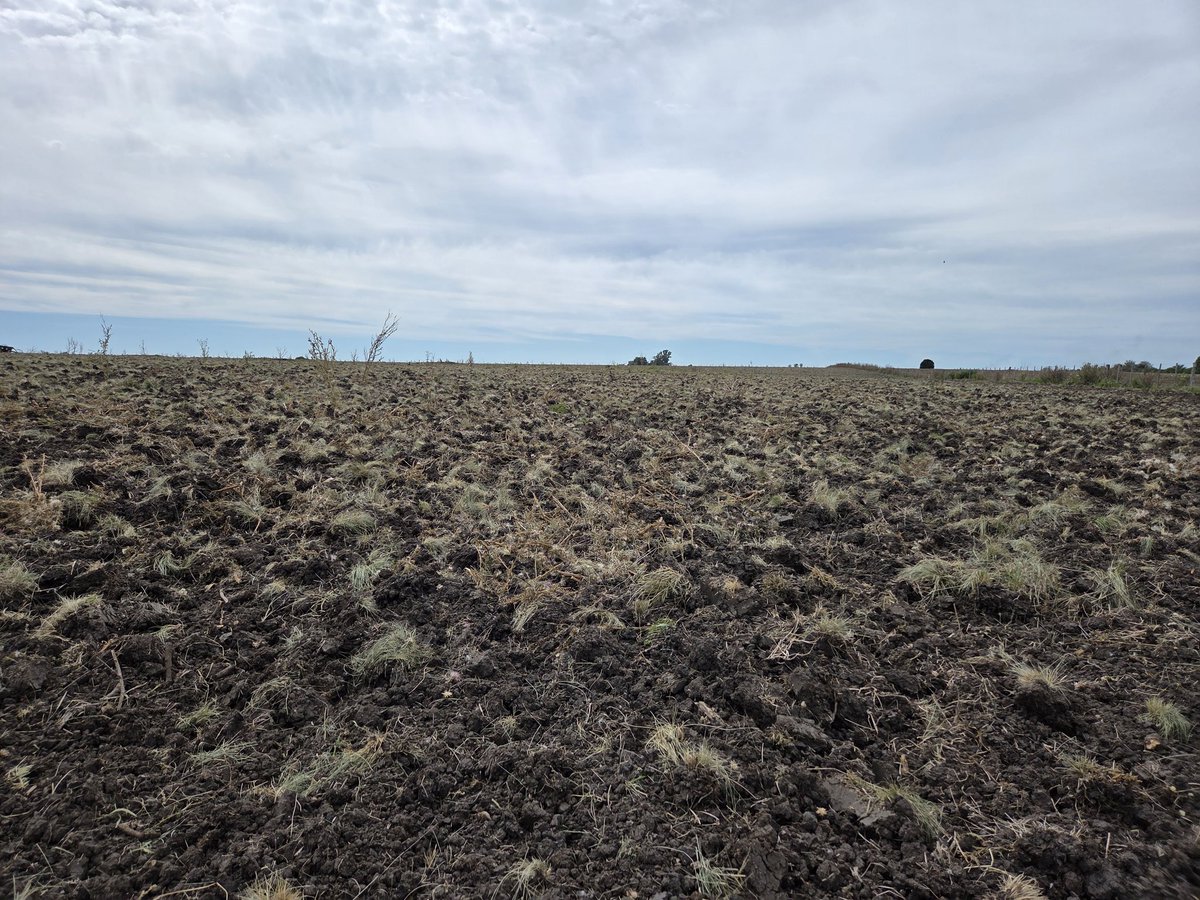 Renzo Basso 🌽🌾🌱🚜📸 tweet media