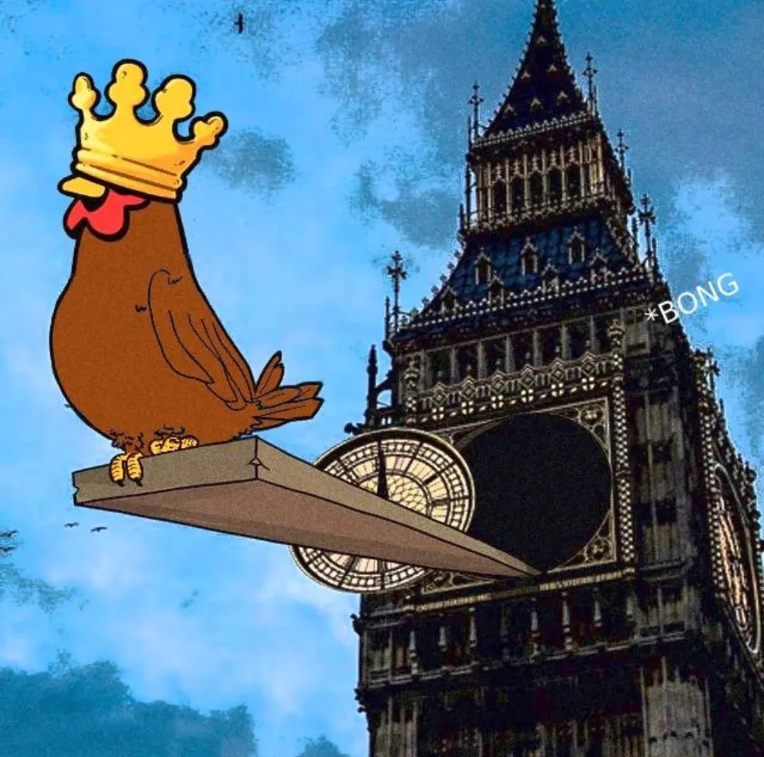 ₿elieve9000🐓🔺💹⚡ tweet media