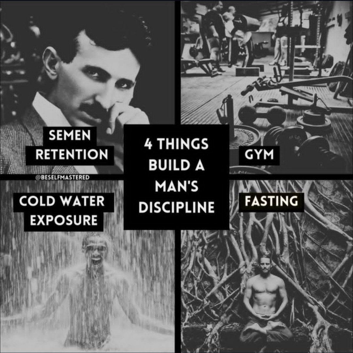 The Sigma Mindset tweet media