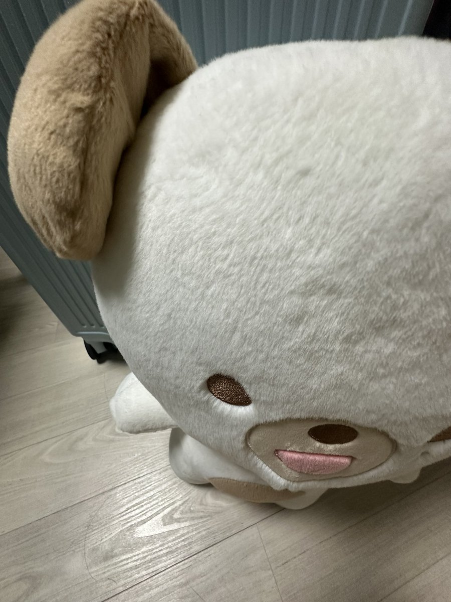 누나 자리도 많이 남는데 나도 데려가
- 돈이는 안 돼 집 지키고 있어