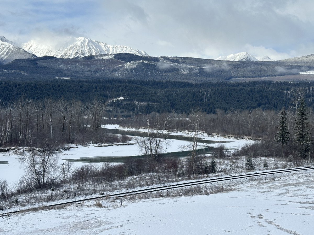 Andy Bell tweet media