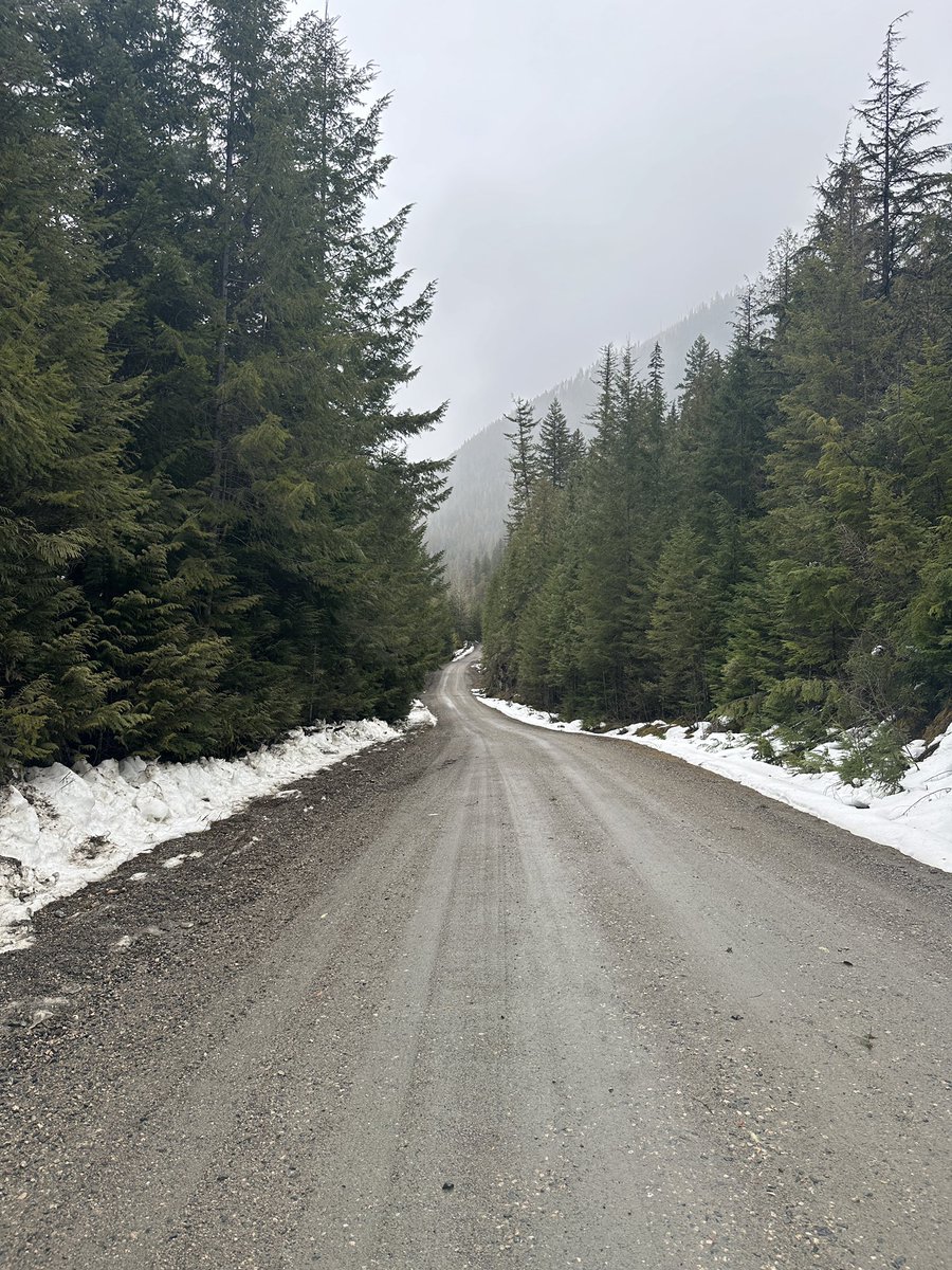 Andy Bell tweet media