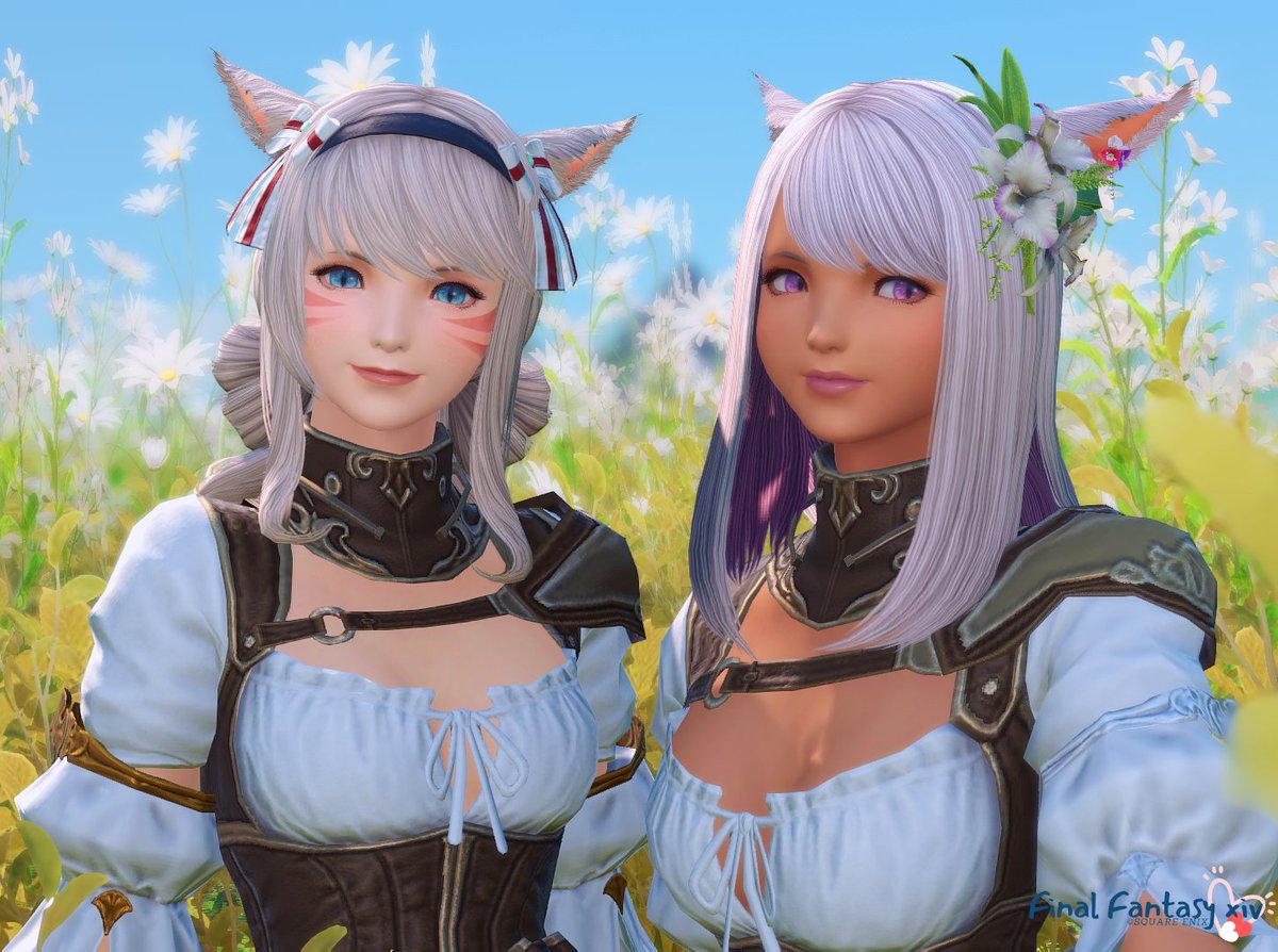 Lisa_aya tweet media