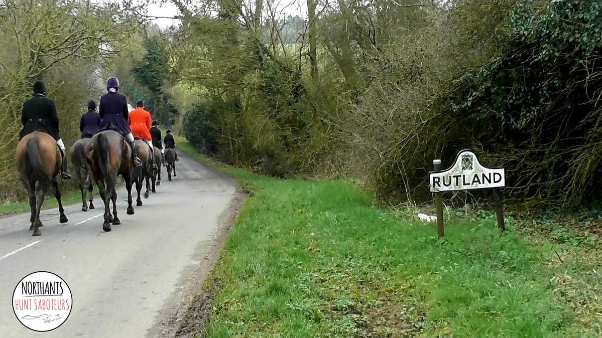 HSA Chair tweet media