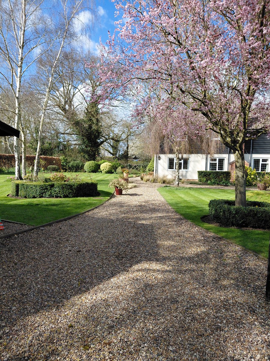 Mark Mayhew tweet media