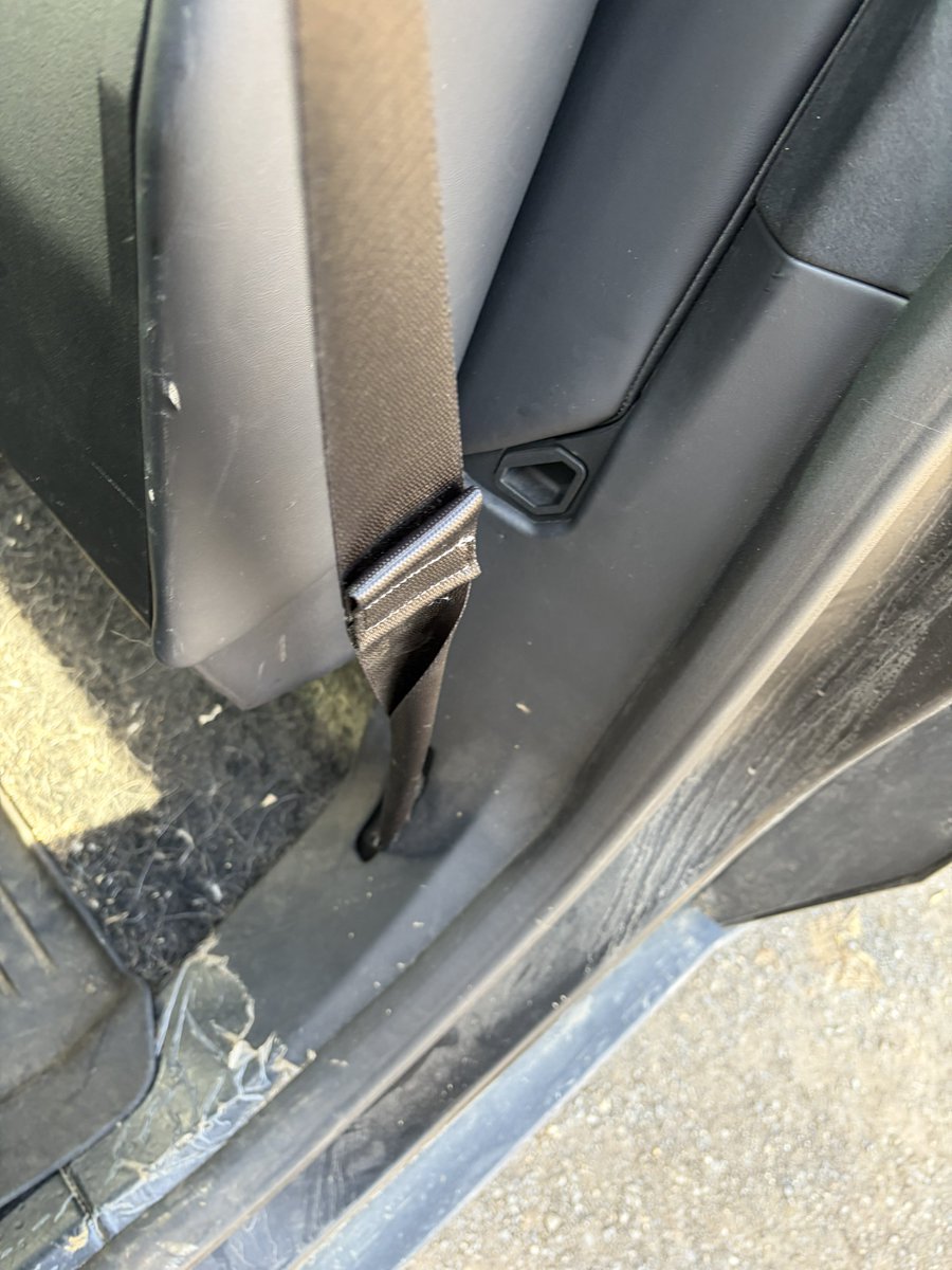 Ælectric Cyberfarmer tweet media