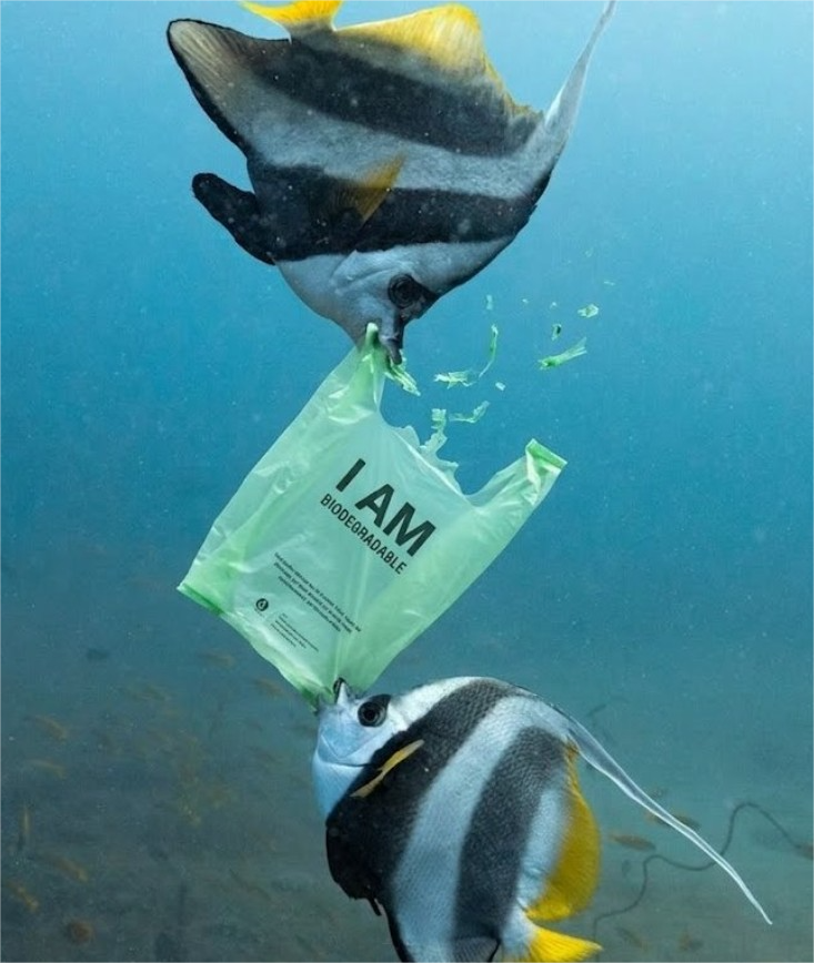 Miguel Ángel | Educador en IA tweet media