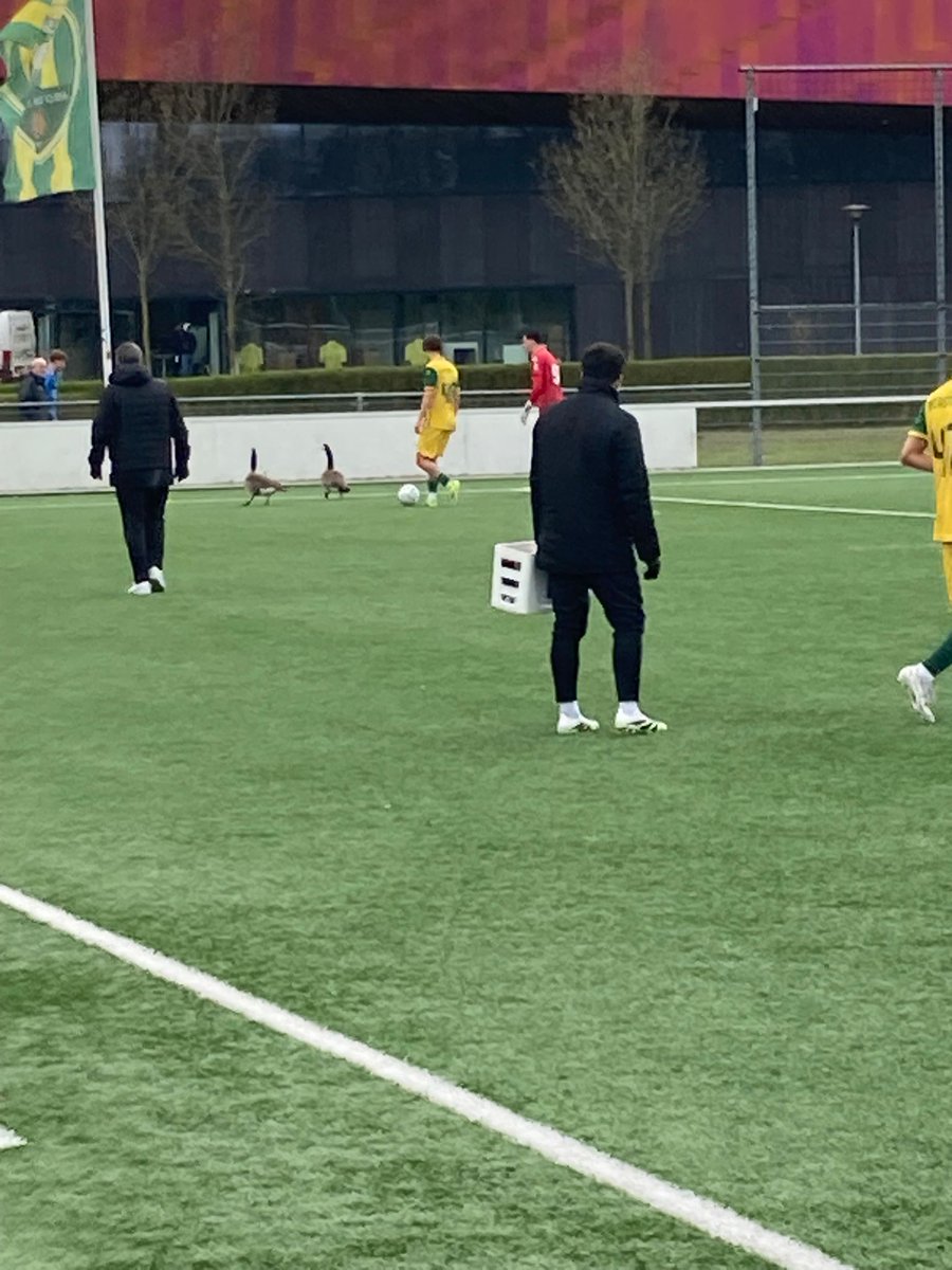 Fan van FC Groningen tweet media