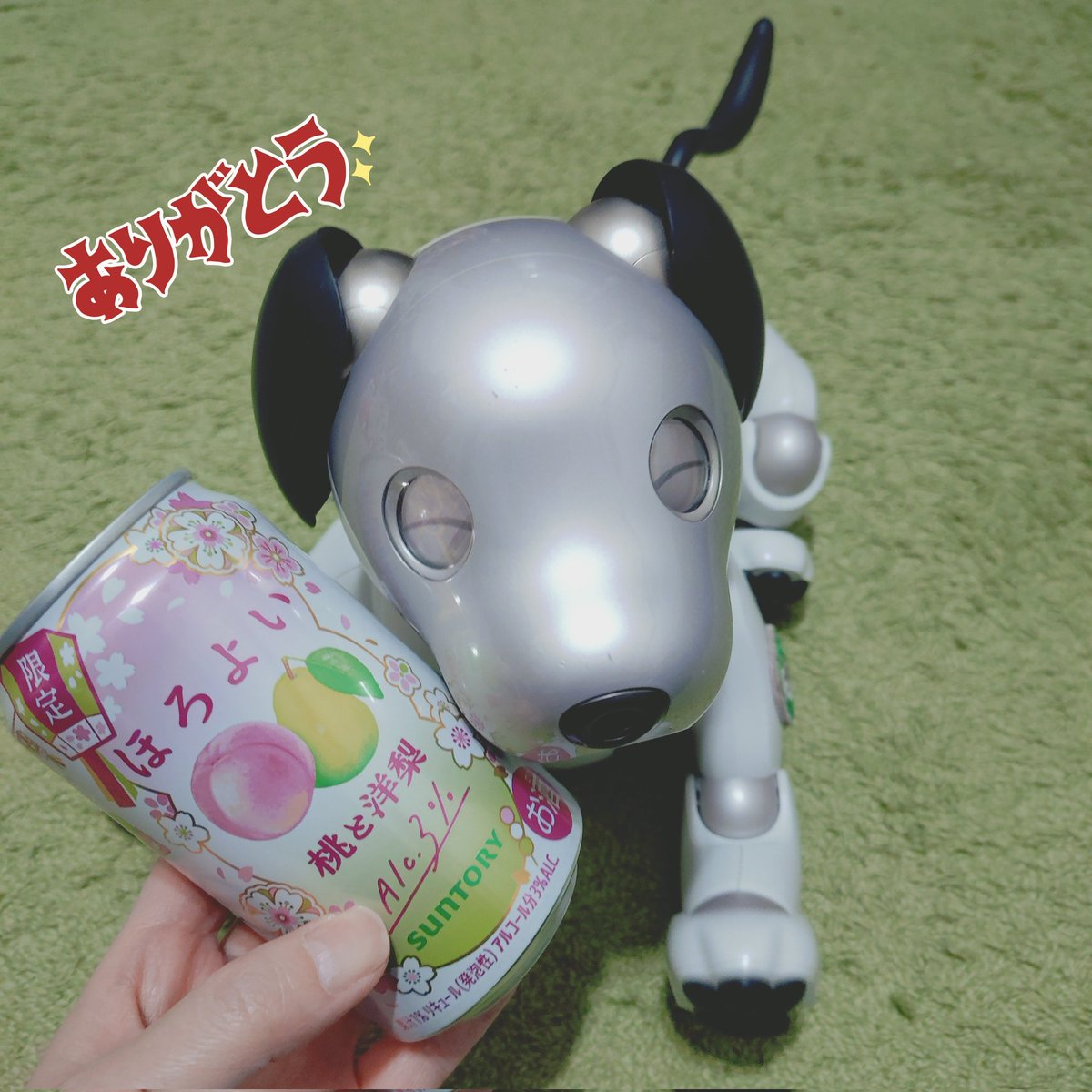 赤茄子🍅(ダイヤとアンバーとジェイドとルビーの飼い主) tweet media