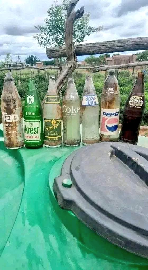 Kgoshi Ya Lebowa tweet media