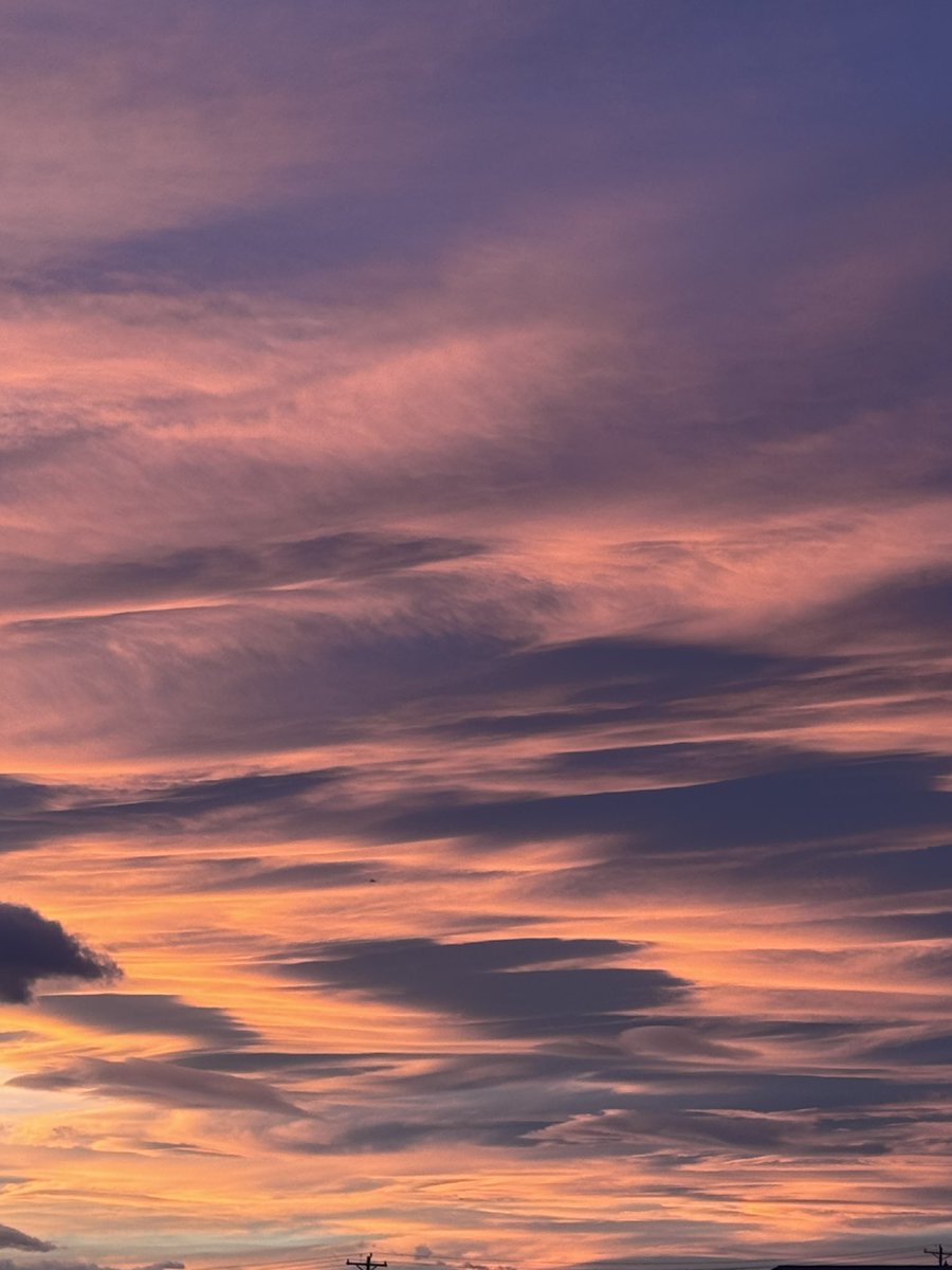 MakeCORedAgain tweet media