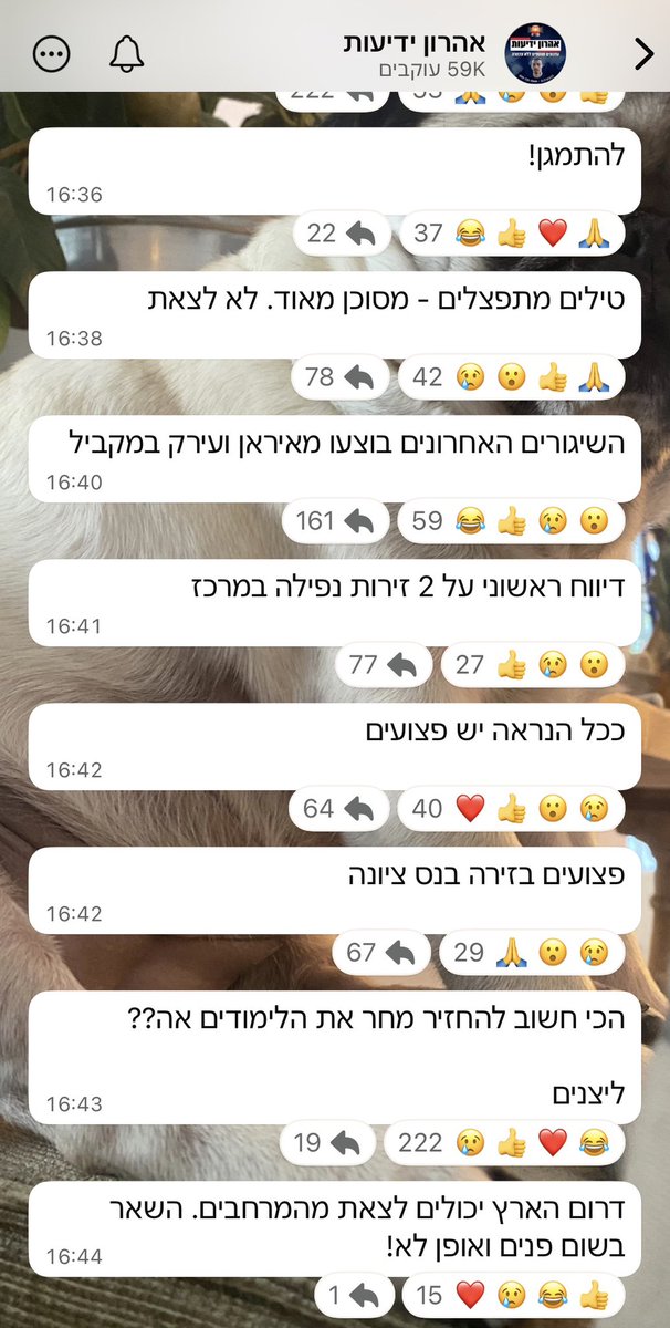 David Zukerman tweet media