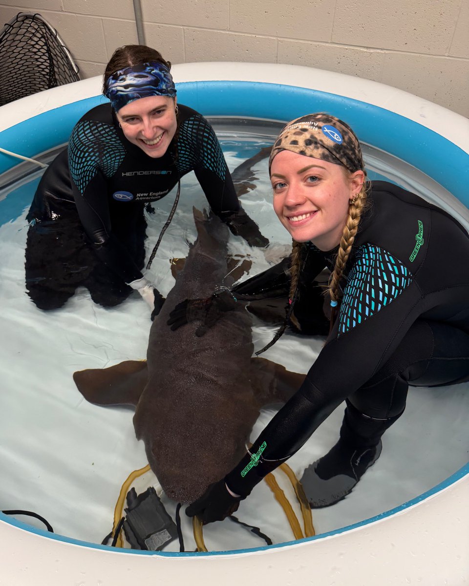 New England Aquarium tweet media
