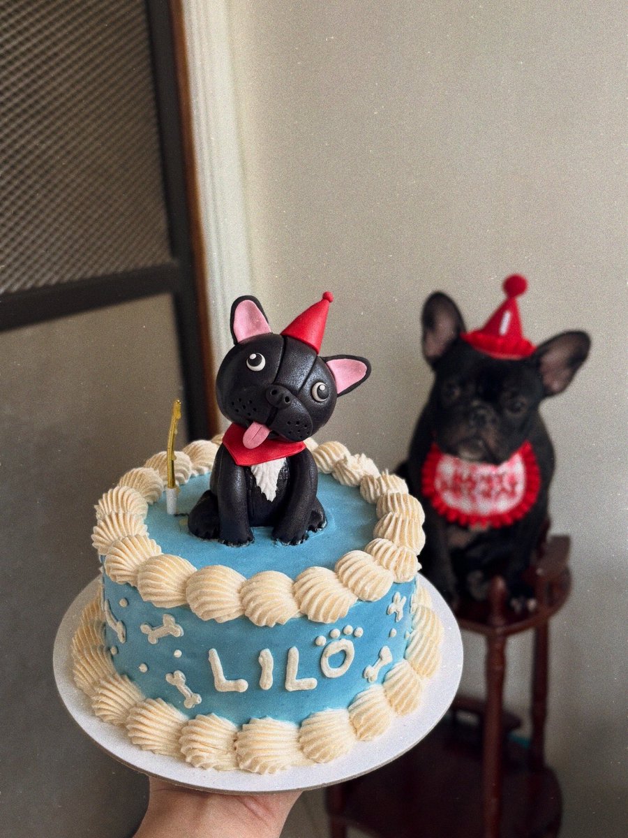skbnvsls's tweet photo. happy birthday lilo!￼🎂￼￼🐾 https://t.co/cxgdx7or4H