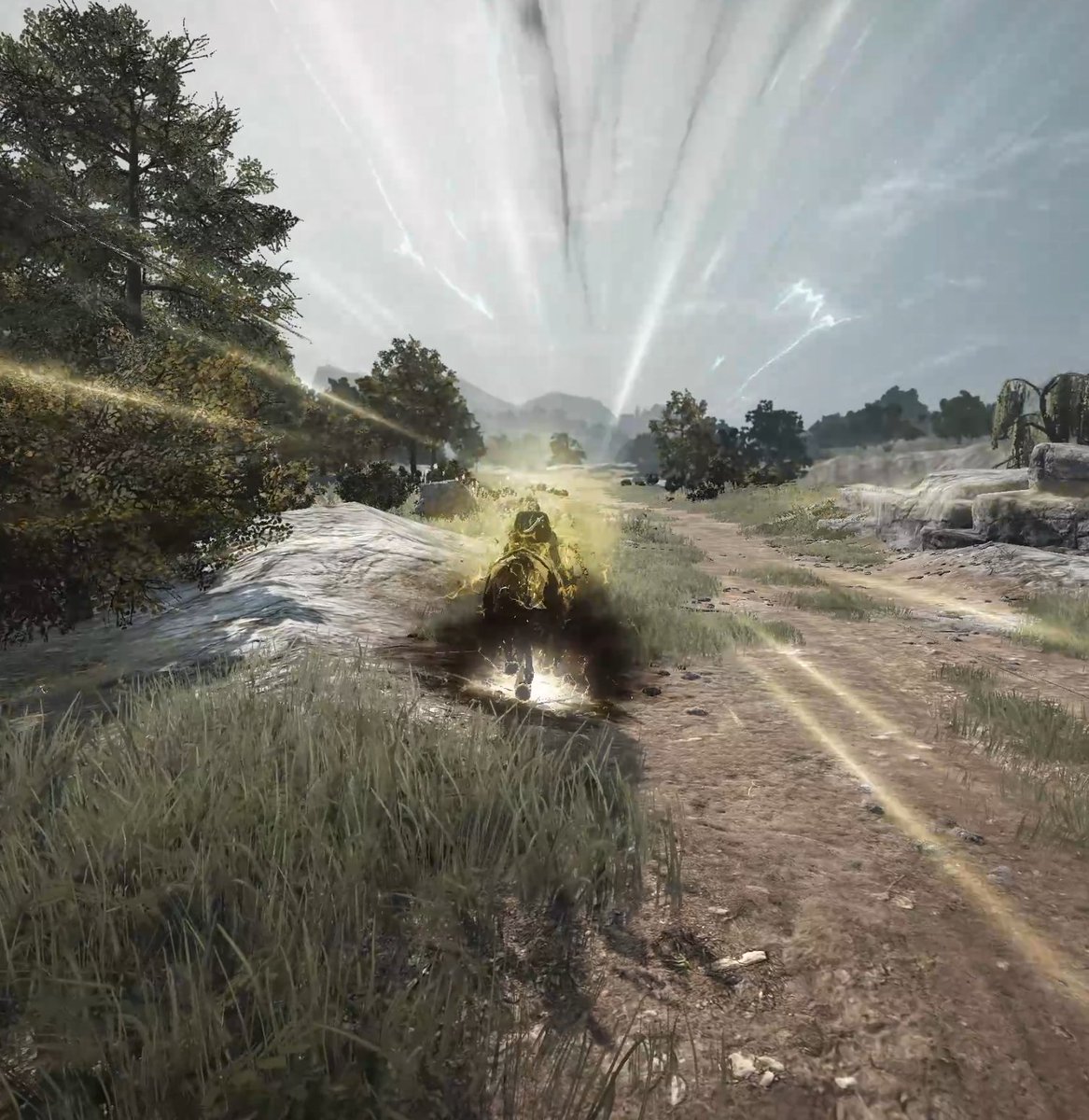 空色厩舎@SS tweet media