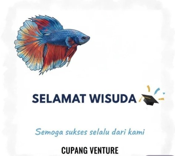 Ponyin 𓂀 tweet media