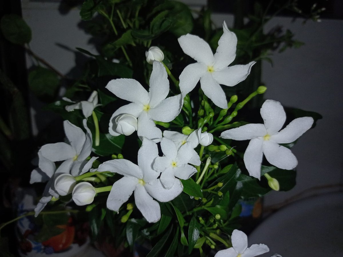 মানুষ যেভাবে যতদূর ভাবতে পারে তার জীবন ঠিক তেমন ততদূর যায়। যে ভাবনা কখনো মানুষের মাথায় আসে না সেইটা কখনো তার জীবনেও আসে না।