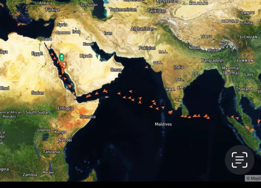 Patricia Marins tweet media