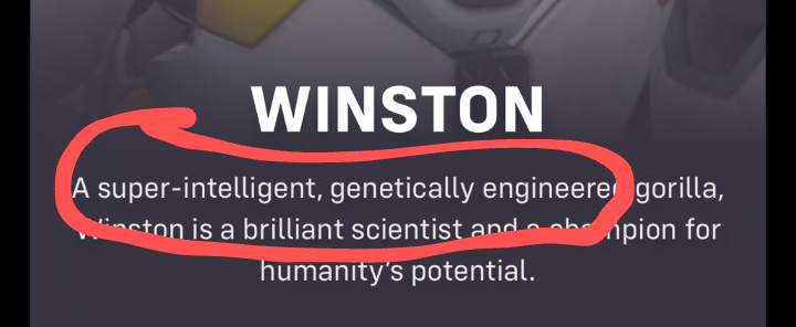 IT"S not MY BIRTHDAY tweet media