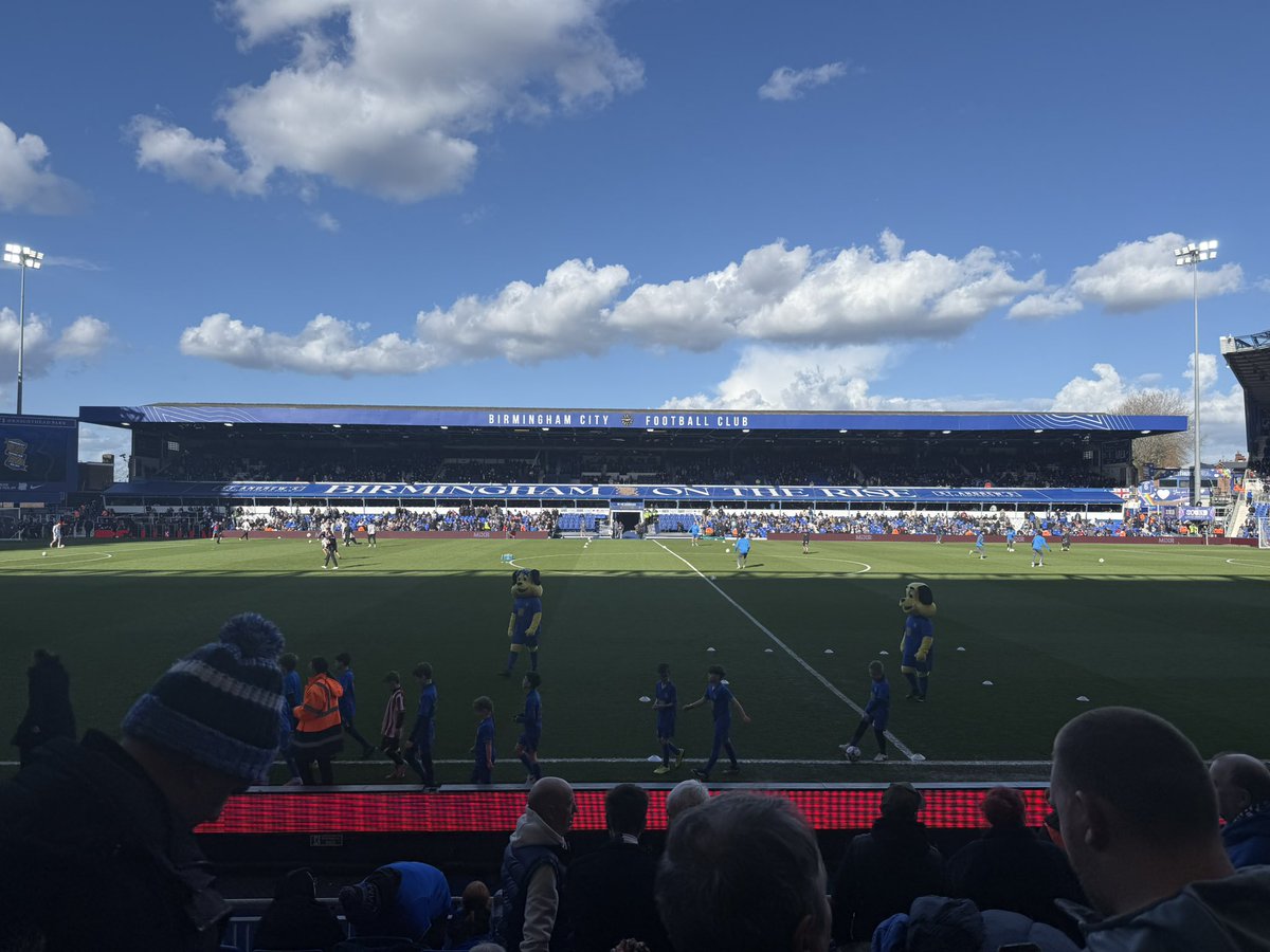 tommy diffey tweet media