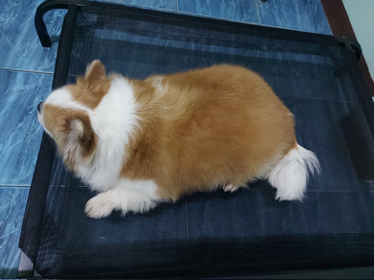 🇹🇭 BotBang 🇹🇭 tweet media